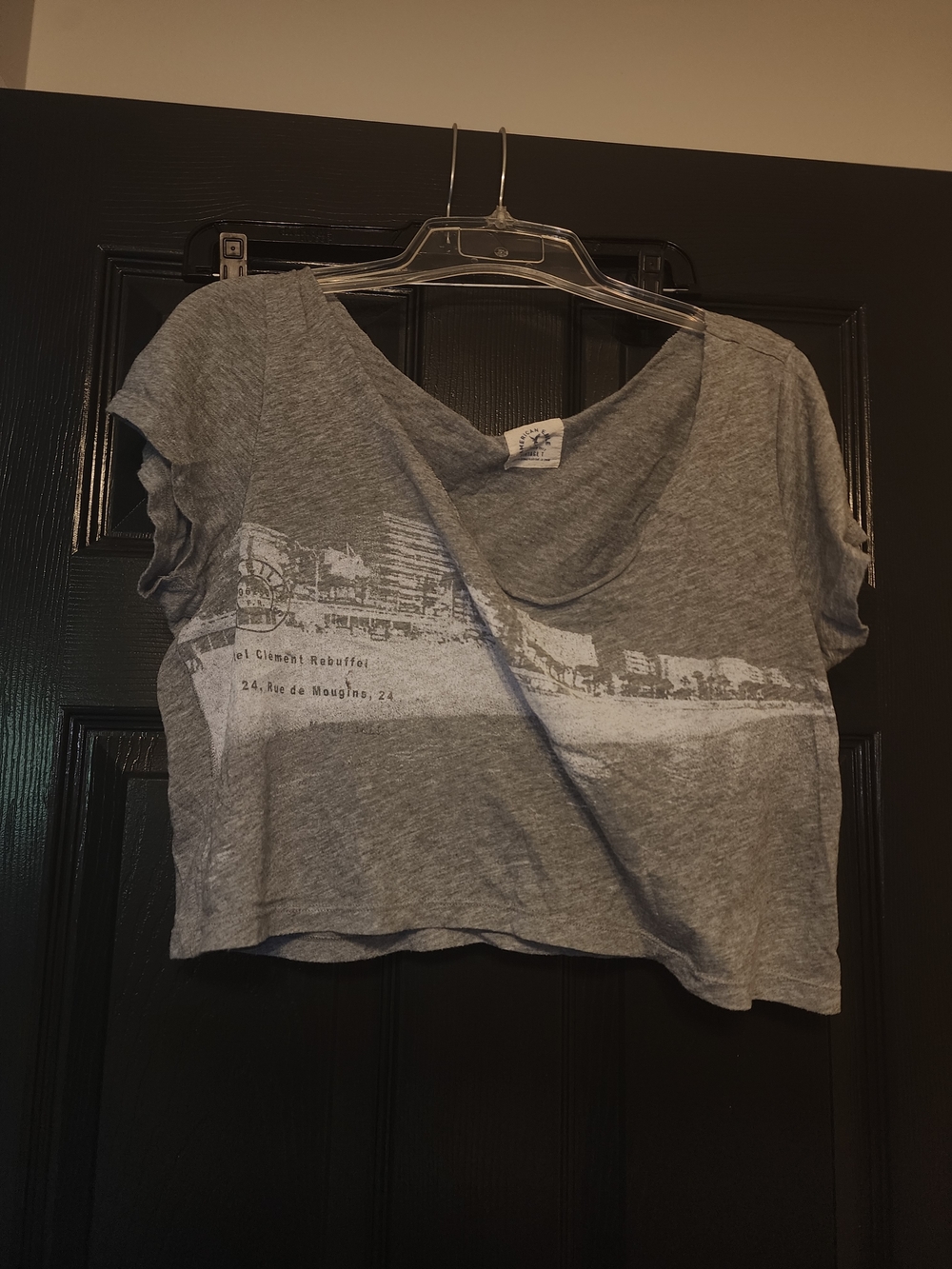 American Eagle Outfitters Gray Graphic Cropped Tee